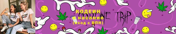 ПСИЛОЦИБИНОВЫЕ ГРИБЫ Алзамай