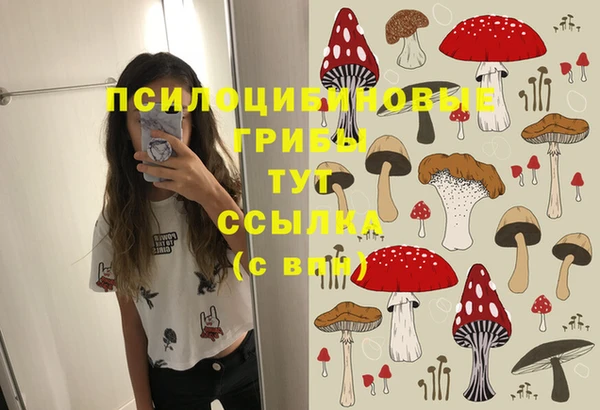 ПСИЛОЦИБИНОВЫЕ ГРИБЫ Алзамай