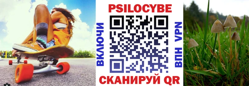 даркнет сайт  Петровск-Забайкальский  Псилоцибиновые грибы Psilocybine cubensis 